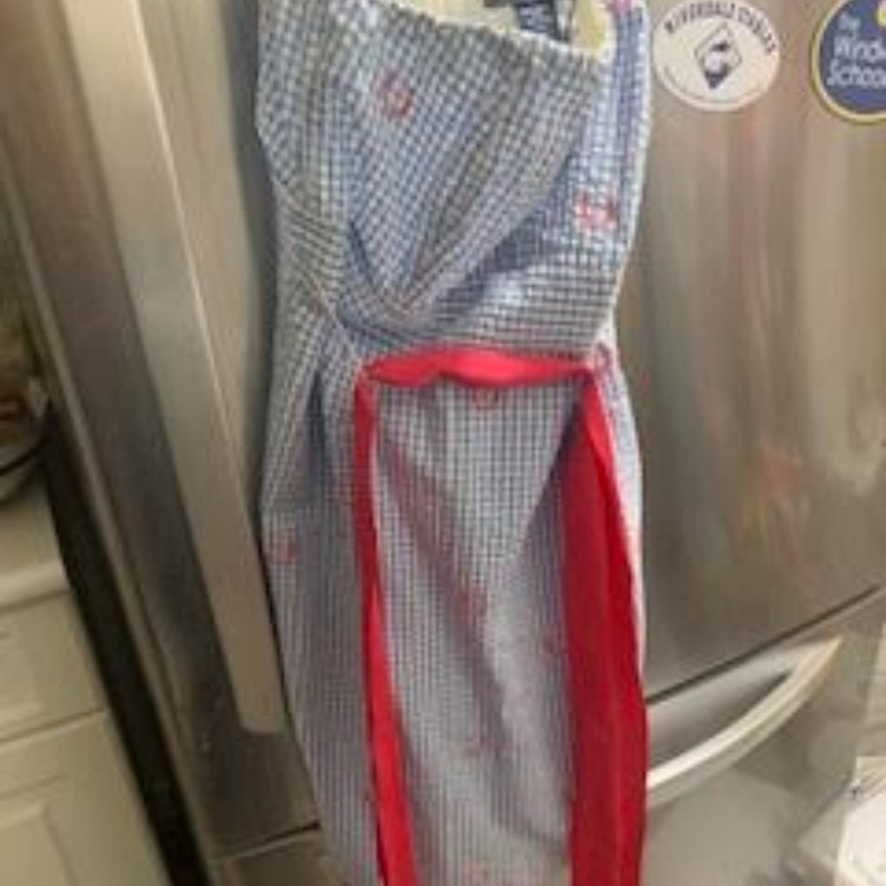 NWT - Women's Vineyard Vines RARE Kentucky derby strapless dress size 4